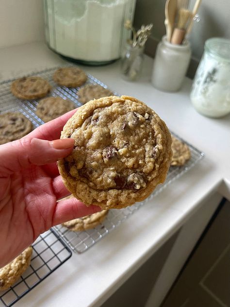 Sourdough Oatmeal Chocolate Chip Cookies Oatmeal Chocolate Chip Sourdough Cookies, Discard Oatmeal Cookies, Sourdough Lactation Cookies, Chocolate Chip Sourdough Cookies, Sourdough Oatmeal Chocolate Chip Cookies, Sourdough Oatmeal Raisin Cookies, Sourdough Discard Oatmeal Cookies, Sourdough Oatmeal Cookies, Soughdough Recipes