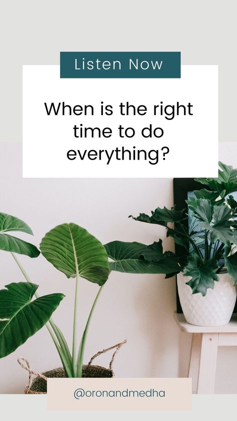 Learn about Divine timing and the difference between using the concept to disconnect from our creative power and absolve ourselves from responsibility and using it to align with what we want in order to create it. Yellow Tree, Divine Timing, Creative Living, Hacks Diy, Monstera Leaf, Palm Oil, Black Spot, Sustainable Living, Artificial Plants