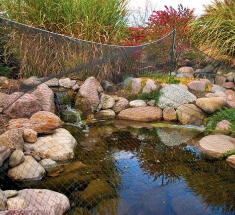 Fall Maintenance, Pond Netting, Pond Aerator, Pond Cleaning, Pond Maintenance, Pond Waterfall, Waterfalls Backyard, Garden Fountain, Ponds Backyard