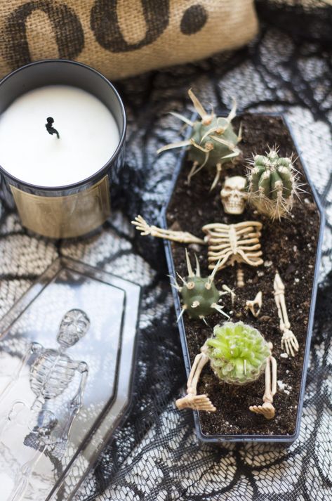 Halloween Crafts For Adults, Goth Garden, Casa Halloween, Halloween Facts, Halloween Fairy, Crafts For Adults, Plant Aesthetic, House Plants Decor, Halloween Craft