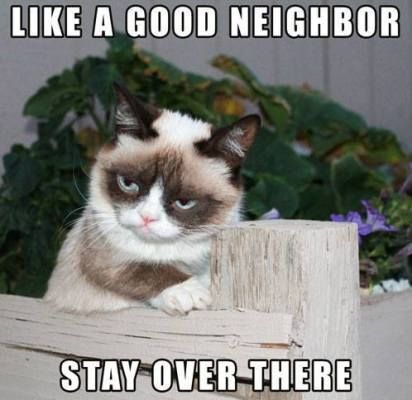 Grumpy Cat memes...@Yuri Goytacaz Goytacaz Goytacaz Lauer   @Lindsay Dillon Dillon Morgan Grumpy Cat, Cat Memes, Fence, Memes, Funny