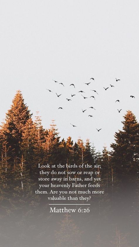 Bible Verses Phone Wallpaper, Matthew 6 26, Bible Quotes Wallpaper, Beautiful Bible Verses, Verses Wallpaper, Matthew 6, Christian Bible Quotes, Bible Devotions, Scripture Study