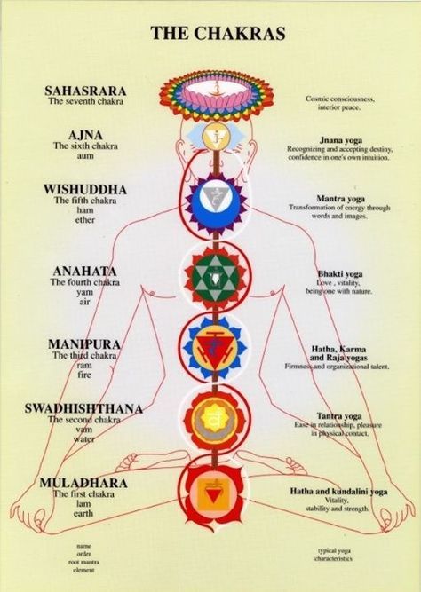 Yoga Transformation, Yoga Words, Jnana Yoga, Manipura Chakra, The Seven Chakras, Kriya Yoga, Bhakti Yoga, The Chakras, Yoga Mantras