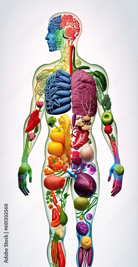 Download scheme of human body of vegetarian of fruits and vegetables. Concept of healthy nutrition and vegetarianism on white background. Generative AI illustration Stock Illustration and explore similar illustrations at Adobe Stock. America And Canada, Healthy Nutrition, Photo Illustration, Fruits And Vegetables, Bible Journaling, Free Images, Stock Illustration, White Background, Sketch Book