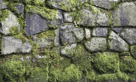 Garden Hardscape, Egress Window Well, Basement Window Well, Window Well Cover, Texture Stone, Gravel Stones, Well Pictures, Egress Window, Window Well