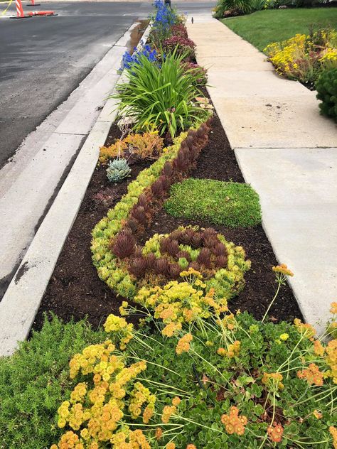 All-time favorite flipped park strip. Check out the swirl of hens & chicks hardy succulents! Park Strip Landscaping, Drought Landscape, Sidewalk Landscaping, Hardy Succulents, Easy Landscaping, Flower Tree, Garden Nursery, Water Wise, Beautiful Park