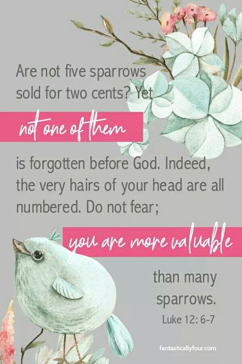 Are not five sparrows sold for two cents? Yet not one of them is forgotten before God. Indeed, the very hairs of your head are all numbered. Do not fear; you are more valuable than many sparrows. Luke 12:6-7 Luke 12, Homeschool Encouragement, Encouraging Bible Verses, Memory Verse, Sparrows, Christian Encouragement, Inspirational Prayers, Love The Lord, God Prayer