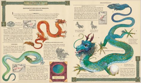 jojoebi designs: A few favourite books.... Dragon Anatomy, Dragon Chino, Eastern Dragon, Dragon Skin, Asian Dragon, Cool Dragons, Dragon Illustration, Dragon Boat, Book Dragon