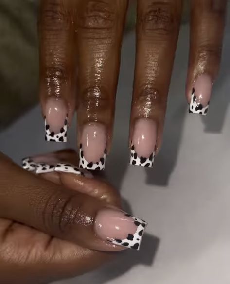 Nail Inspo Cow Print, Cow Print Toe Nails, Beginner Nail Designs, Cow Print Nails, Black Gel Nails, Cheetah Print Nails, 2023 Nail, Cow Nails, Acrylic Nail Powder