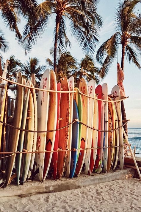 Surfboard Pictures, Surfboard Background, Aesthetic Surfboard, Tropical Surfboard, Surfboard Aesthetic, Hawaii Wallpaper, Aesthetic Surfing, Surfing Wallpaper, Beach Surfboard