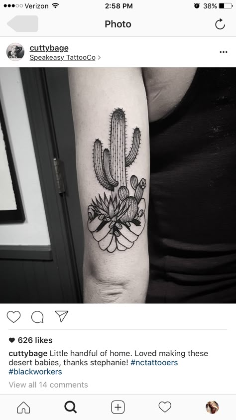 Cactus succulent desert tattoo Cactus Plant Tattoo, Boho Cactus Tattoo, American Traditional Potted Plant Tattoo, Cactus And Sunflower Tattoo, Black And White Cactus Tattoo, Cactus Tattoos For Women, Cactus Tatoos, Nopal Tattoo, Mexico Tattoo Ideas