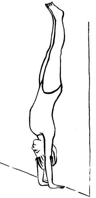 Handstand. Contact Information http://www.kup4u.com/company/infinityflexibility http://infinityflexibility.com/wp/ Handstand Tattoo Ideas, Handstand Poses Drawing, Handstand Tattoo, Handstand Drawing, Handstand Variations, Press To Handstand, Handstand Holding Tips, Yoga Drawing, Iyengar Yoga