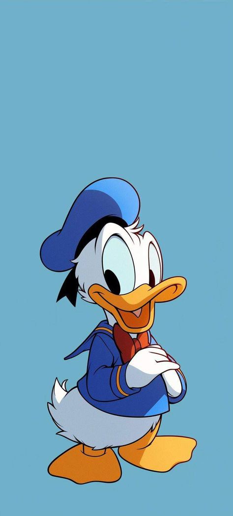 Donald Duck With Money, Funny Duck Wallpaper, Donald Duck Pfp, Donald Duck Wallpaper, Donald Duck Art, Hummingbird Art Drawing, Looney Tunes Wallpaper, Teen Wallpaper, Cartoons Hd