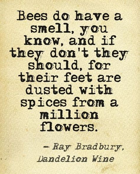 Bee Quotes, Dandelion Wine, I Love Bees, Bee Inspired, Garden Quotes, Ray Bradbury, Save The Bees, What’s Going On, Bee Keeping