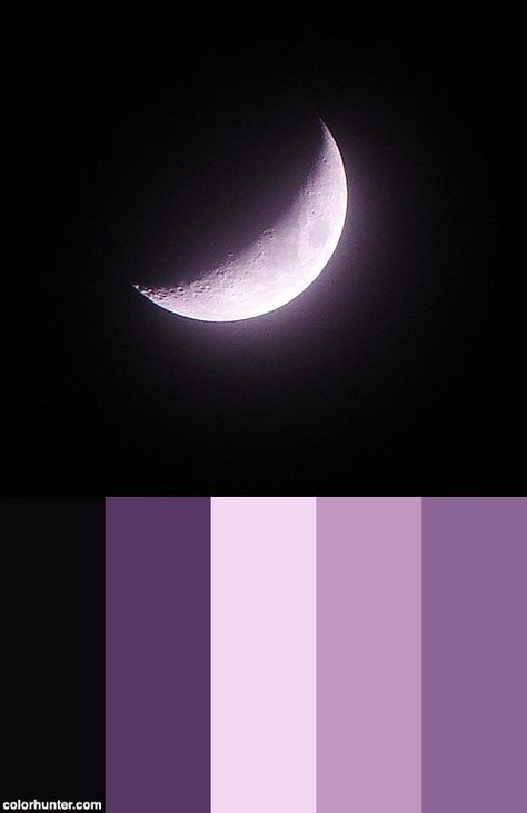 Moon {violet} Color Scheme from colorhunter.com Red Moon Color Palette, Royal Purple Color Scheme, Purple And Black Color Scheme, Moon Colors Palette, Moon Colour Palette, Moon Pallete, Pastel Goth Color Palette, Moon Color Palette, Dark Purple Color Palette