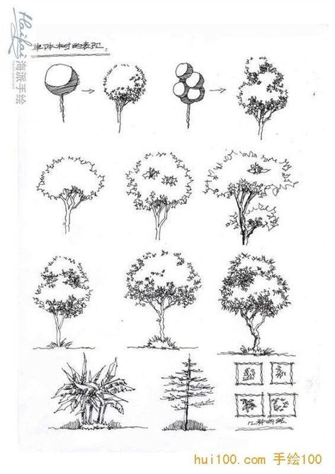 Árboles lineart Croquis Architecture, Architectural Trees, Tree Types, Types Of Trees, Tree Photoshop, Plant Sketches, Landscape Design Drawings, Photoshop Watercolor, Landscape Architecture Drawing