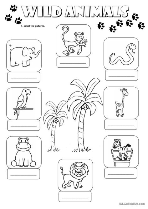 Wild Animals Worksheets For Kids, Animals Worksheets For Kids, Animals Worksheet, Animal Worksheets, Spelling Worksheets, Grade Spelling, 2nd Grade Worksheets, Class Activities, 6th Grade