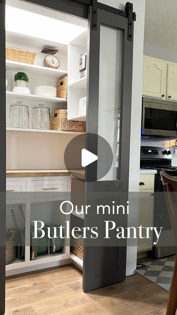 Build Your Own Butlers Pantry, Micro Butlers Pantry, Add Pantry To Kitchen, Mini Butlers Pantry, Diy Butlers Pantry, Micro Pantry, Pantry Small Space, Shallow Pantry Ideas, Full Wall Pantry