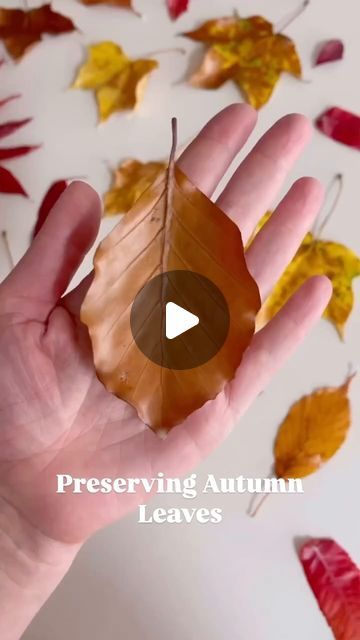 Wax Dipped Leaves, Beeswax Leaves, Beeswax Dipped Leaves, Preserving Leaves Wax Paper, Pressing Leaves In Wax Paper, How To Preserve Leaves, Eco Decor, Double Boiler, Small Leaf