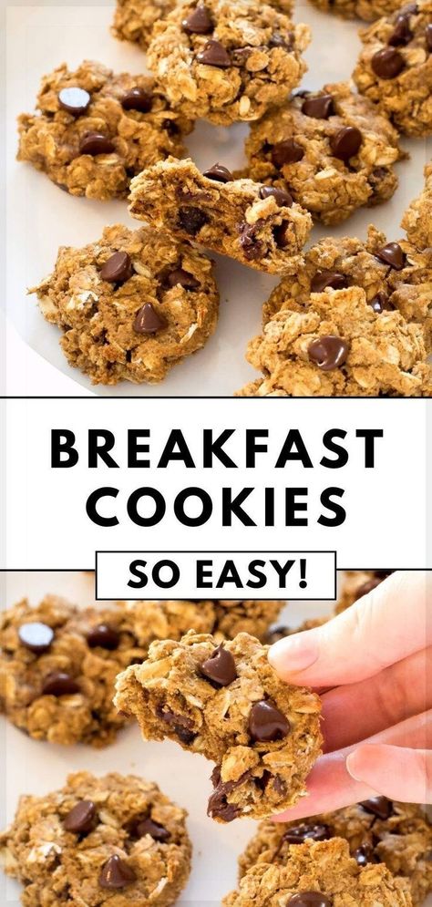 Looking for a healthy breakfast recipe? These decadent breakfast cookies are loaded with oats, peanut butter, chocolate chips, and protein. Perfect for a sweet, healthy, delicious breakfast or afternoon snack! What better way to start your day then with a cookie? Especially one you don’t have to feel guilty about! These homemade cookies are loaded with healthy ingredients that will keep you full throughout the day. There is no butter or oil in these cookies; just healthy, natural ingredients. Breakfast Cookies Healthy Oatmeal Peanut Butter, One Bowl Breakfast Cookies, Breakfast Cookies No Peanut Butter, Hearty Breakfast Cookies, Jumbo Breakfast Cookies, Energy Cookies Healthy, Oatmeal Chocolate Chip Breakfast Cookies, High Fiber Breakfast Cookies, Cozy Breakfast Ideas