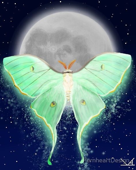 Moth Painting Acrylic, Luna Moth Wallpaper, Ecosystem Art, Luna Moth Painting, Moth Photos, Luna Moth Art, Cottagecore Inspiration, Luna Moth Tattoo, Moth Artwork