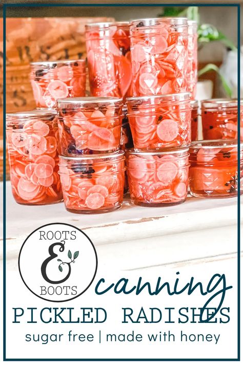 Canning Honey, Radish Pickle Recipe, Pressure Canning Recipes, Canning Pickles, Canning Fruit, Canning Ideas, Home Canning Recipes, Canning Vegetables, Canning Food Preservation