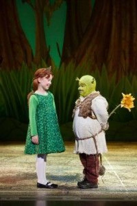 Shrek Musical, Shrek Costumes, Shrek Jr, Musical Theatre Dance, Shrek The Musical, Shrek Costume, Musical Costumes, Cute Jumpers, Child Star