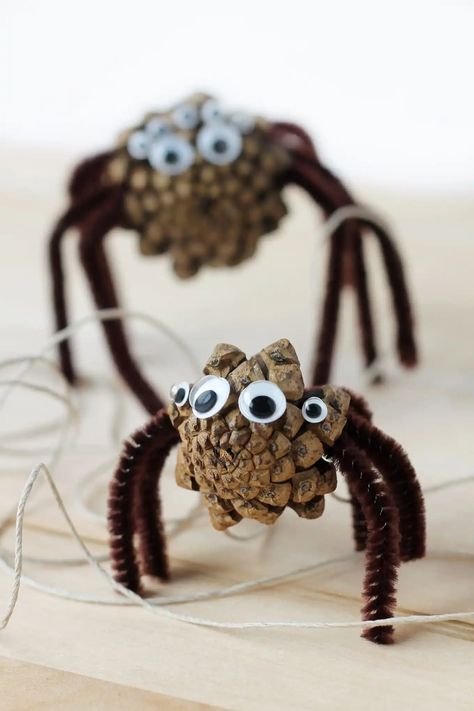 Kids of all ages will enjoy collecting pine cones to create Pine Cone Spiders for Halloween. This creepy-cute nature craft is perfect for home, school, community programs, and camp. #pineconespiders #naturecraft Creepy Halloween Decorations Diy, Pinecone Crafts Kids, Cheap Halloween Decorations, Spider Crafts, Easy Halloween Crafts, Cheap Halloween, Cones Crafts, Pine Cone Crafts, Crafts For Boys