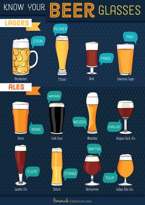 Beer Infographic, Beer Food Pairings, Barley Water, Beer Tasting Parties, Beer Illustration, Irish Beer, Beer Store, Beer Art, Dinner Party Themes