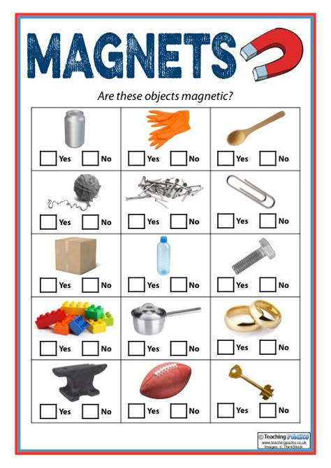 Magnet Science Project, Magnet Worksheet, Magnetic Objects, Science Experience, Magnet Activities, Magnets Science, Worksheet For Kindergarten, Primary Science, Kids Worksheets