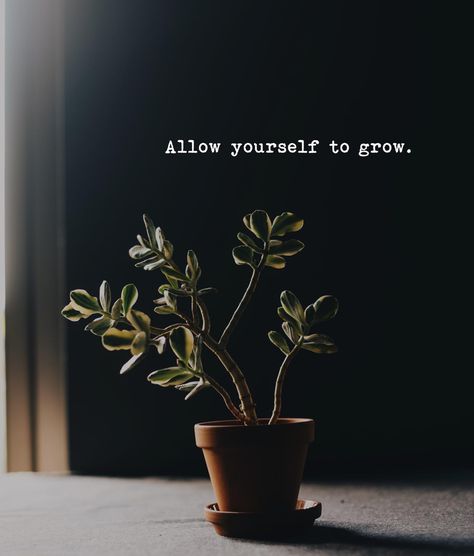 Allow yourself to grow. Allow Yourself To Grow, Growing Quotes, Inspirational Quotes Wallpapers, Quotes Wallpapers, Beautiful Art Paintings, Plant Wallpaper, Positive Outlook, Self Motivation, Growing Plants