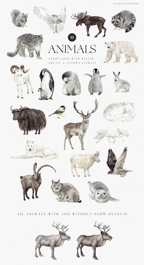 Winter Forest Animals Illustration, Christmas Animal Art, Winter Animals Illustration, Artic Tundra, Bear Illustration Art, Winter Woodland Animals, Christmas Illustration Design, Hare Illustration, Watercolour Animals