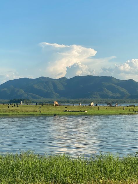 Landscape / meadow / nature / Lampang, Thailand #igybsnap Landscape Meadow, Heal Your Soul, Lampang, Thailand, Natural Landmarks, Travel, Nature