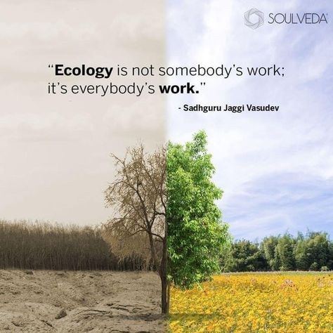 Save Nature Quotes Environment, Save Nature Poster Environment, Save Nature Quotes, Ecofriendly Quotes, Ecology Quotes, Upsc Quotes, Recycling Quotes, Solution Quotes, Ecology Art