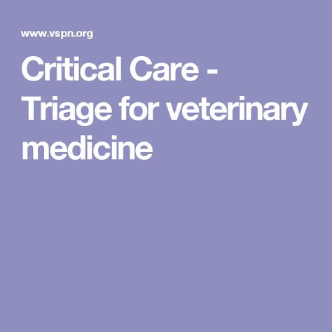 Critical Care - Triage for veterinary medicine Veterinary Tech, Vet School, Vet Med, Veterinary Medicine, Critical Care, Vet Tech, All Over The World, Medicine, The World