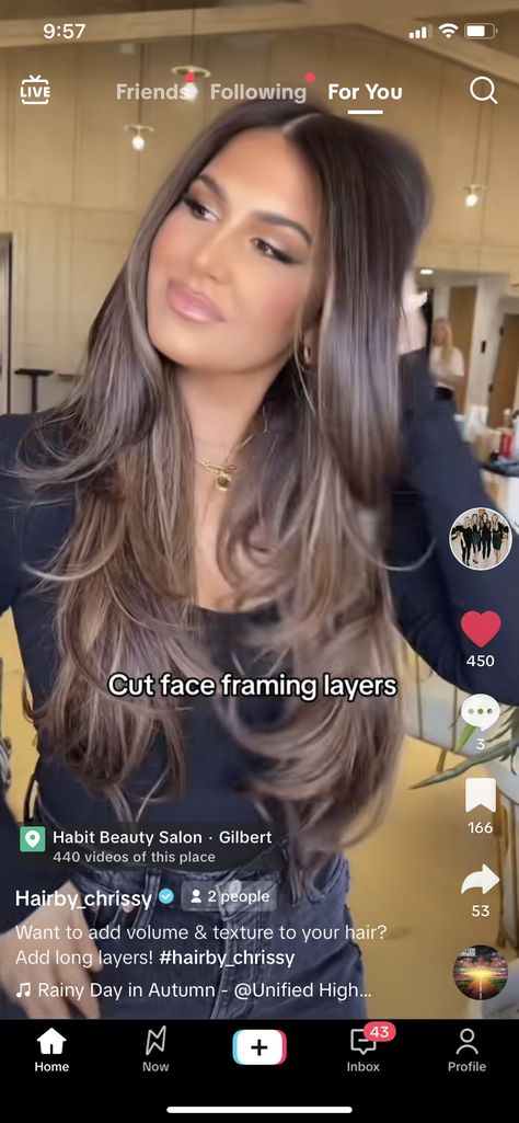 Face Framing With Layers Long Hair, Long Layers Straight Hair Back View, Face Framing For Long Hair, Long Front Layers Face Framing, Framing Layers, Face Frame, Face Framing Layers, Haircut Styles, Long Layered Haircuts