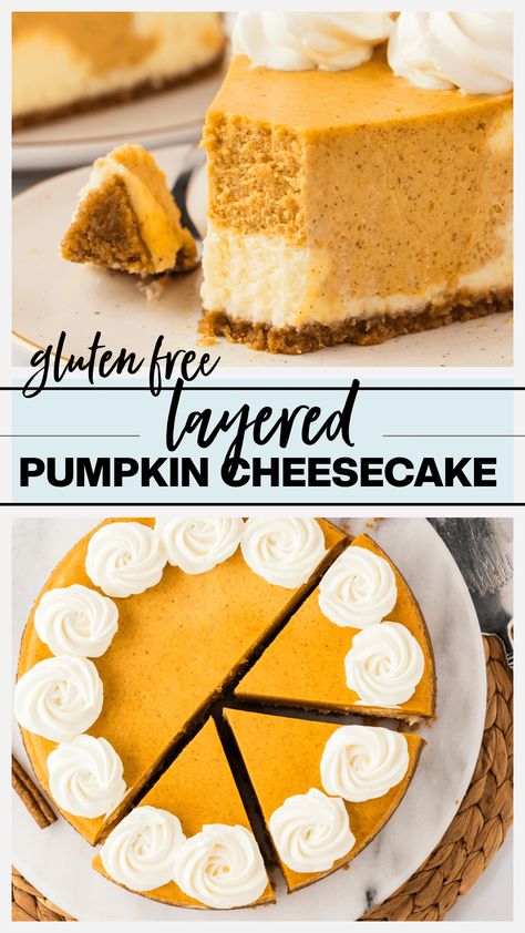 Layered Pumpkin Cheesecake with a Gluten Free Crust Gluten Free Pumpkin Pie Cheesecake, Gluten Free Pumpkin Pie With Graham Cracker Crust, Gluten Dairy Free Pumpkin Cheesecake, Best Gluten Free Pumpkin Pie, Vegan Gluten Free Pumpkin Cheesecake, Pumpkin Pie Layered Cheesecake, Pumpkin Cheesecake Dairy Free, Dairy Free Gluten Free Cheesecake, Gluten Free Dessert Thanksgiving