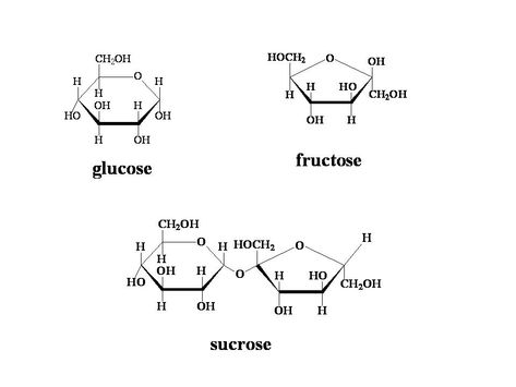 sugar molecule model - Google Search Glucose Molecule Tattoo, Molecule Model, Chemistry Tattoo, Molecule Tattoo, Simple Sugar, Whatever Forever, Science Birthday, Sugar Candy, High Fructose Corn Syrup