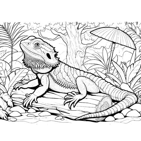 bearded dragon coloring pages dragon animal coloring pages free coloring pages Bearded Dragon Drawing Easy, Bearded Dragon Art, Bearded Dragon Drawing, Coloring Pages Dragon, Bearded Dragon Colors, Dragon Coloring, Dragon Coloring Page, Color Pages, Animal Coloring