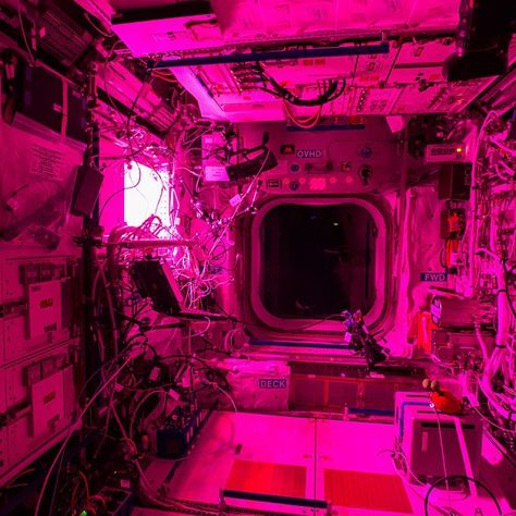 “What does the #ISS look like in the dark? Yes our home can be #pink! #HeartsInOrbit #VDay” #AstroButch  Photo Credit Barry Wilmore: 128A9417  #nasa #nasajsc #spacestation #internationalspacestation #explore #exploration #photography #ISS #Exp42 #cupola #art #pink #Valentine #ValentinesDay #love #heart #February #connection #allineed #febuary14 #light #glow #bright Neon Pink Widget Aesthetic, Neon Pink Widgets, Pink Widget Aesthetic, Pink Cybercore, Pink Neon Wallpaper, Pastel Grunge, Dreamcore Weirdcore, Phone Layout, Neon Wallpaper