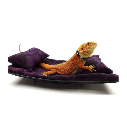 Bearded Dragon Furniture, Dragon Furniture, Dragon Bed, Bearded Dragon Hammock, Bearded Dragon Accessories, Bearded Dragon Terrarium Ideas, Desert Lizards, Outdoor Cat Tunnel, Dragon Accessories