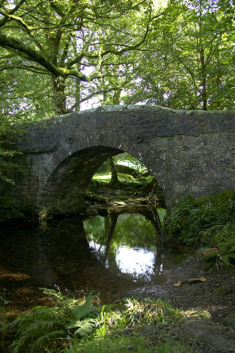 Stone bridge in Dartmoor, Devon Cycle past this on our tours in the area - http://www.the-carter-company.com/where/devon-and-cornwall/cycling-holidays/ Cobblestone Bridge, Dartmoor Devon, E Bikes, Old Bridges, Dartmoor National Park, The Carter, Devon And Cornwall, Devon England, Stone Bridge