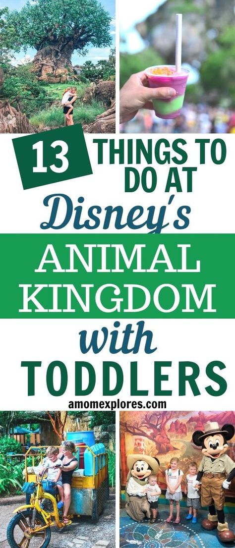 Ready for some toddler fun at Disney's Animal Kingdom_ There are so many great things to do with a 2 year old at Animal Kingdom from rides to shows to characters. Here are the top little kid attractions at Animal Kingdom. Magic Kingdom With A One Year Old, Things To Do At Animal Kingdom, Animal Kingdom Itinerary 1 Day, Animal Kingdom Characters, Disney With A Two Year Old, Disney World Toddler, Animal Kingdom Restaurants, Animal Kingdom Rides, Animal Kingdom Outfit