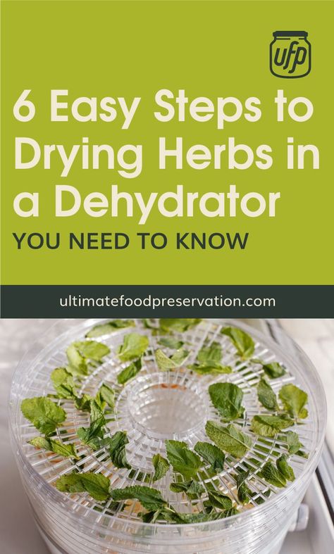 Dehydrate Herbs, Dehydrating Food Storage, Drying Fresh Herbs, Food Dehydration, Dehydrated Vegetables, Canning Food Preservation, Dry Herbs, Dehydrated Fruit, Dehydrated Food