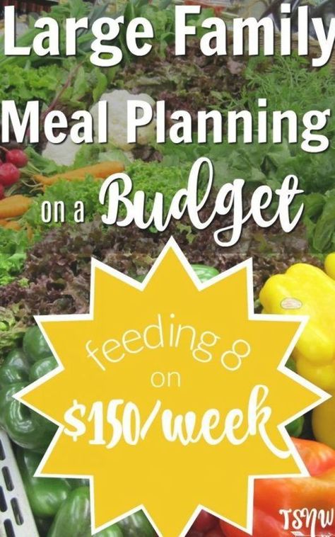 City Homestead, Meal Planning On A Budget, Frugal Meal Planning, Inexpensive Dinners, Big Food, Budget Freezer Meals, Meal Planners, Budget Cooking, Large Family Meals