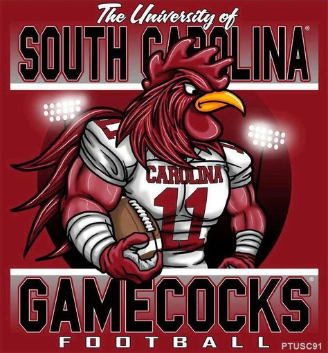 I've just noticed a great deal of orange here lately. That is not a good thing for this chick! South Carolina Gamecocks Football, Gamecock Nation, South Carolina Football, Gamecocks Logo, Sports Cookies, Gamecocks Football, Go Gamecocks, Usc Gamecocks, Carolina Football