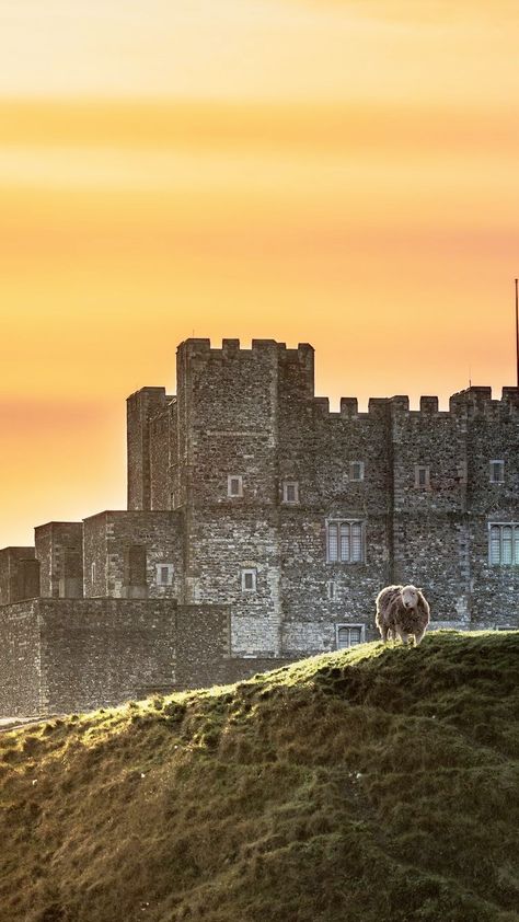 England Dover Castle, Castle, England