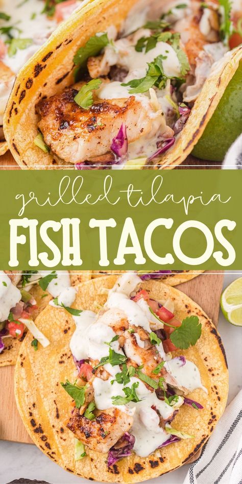 Fish Fajitas Recipes, Fish Tacos Tilapia Baked, Grilled Tilapia Tacos, Grilled Fish Taco Recipe, Fish Taco Recipe Tilapia, Talipia Taco Recipes, Talipia Tacos, Talipia Fish Taco Recipes, Tilapia Fish Tacos Recipes