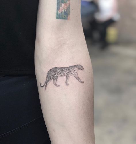 ❁ 𝓈𝒶𝓃𝒶 𝓉𝒶𝓉𝓉𝑜𝑜𝓈 ❁ on Instagram: “✨Little Leopard✨ 🐆🐆🐆🐆🐆🐆🐆” Forearm Tattoo Placement, Tattoo Placement Women, Leopard Tattoo, Leopard Tattoos, Inner Forearm Tattoo, Arm Tats, Ankle Tattoo Small, Inner Forearm, Strength Tattoo