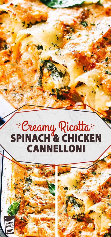 Chicken Cannelloni, Cannelloni Pasta, Ricotta Spinach, Cannelloni Recipes, Spinach Chicken, Creamy Tomato Sauce, Pasta Dinner Recipes, Spinach Recipes, Spinach Stuffed Chicken